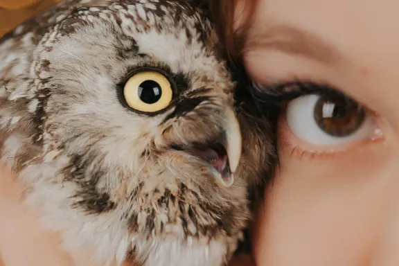 Casino AllStar Slots Support